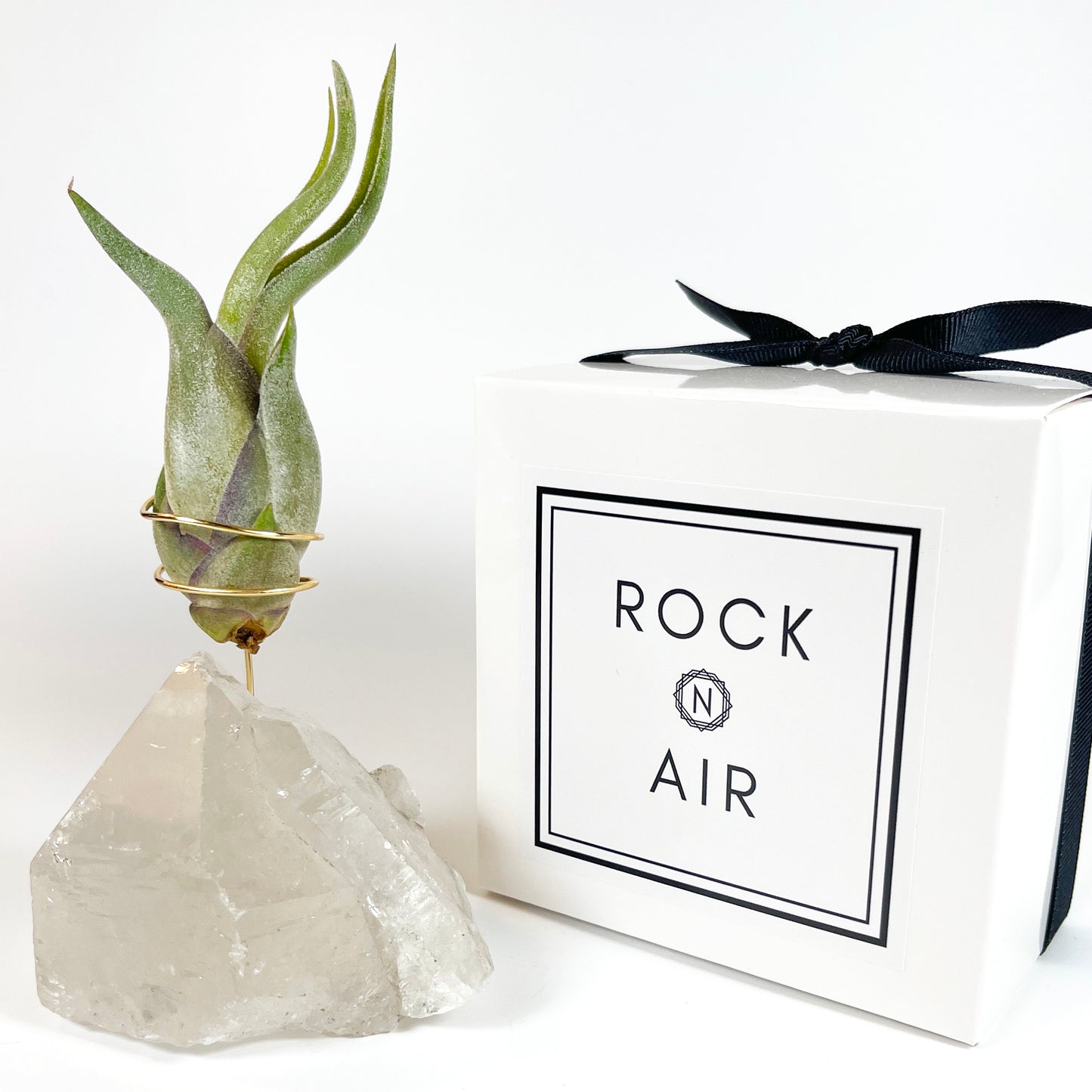 Standing Clear Quartz Crystal with Point - Unique Crystal Air Plant Holder