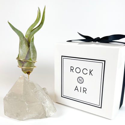 Standing Clear Quartz Crystal with Point - Unique Crystal Air Plant Holder