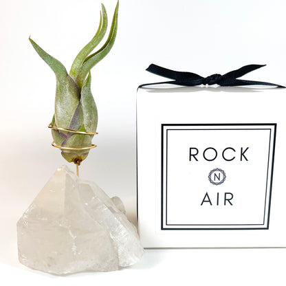 Standing Clear Quartz Crystal with Point - Unique Crystal Air Plant Holder
