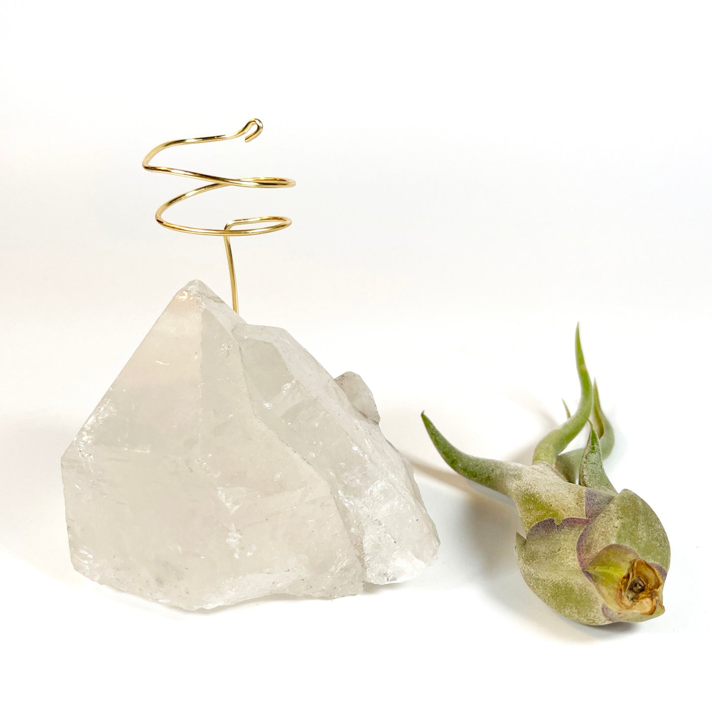 Standing Clear Quartz Crystal with Point - Unique Crystal Air Plant Holder