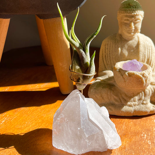 Standing Clear Quartz Crystal with Point - Unique Crystal Air Plant Holder