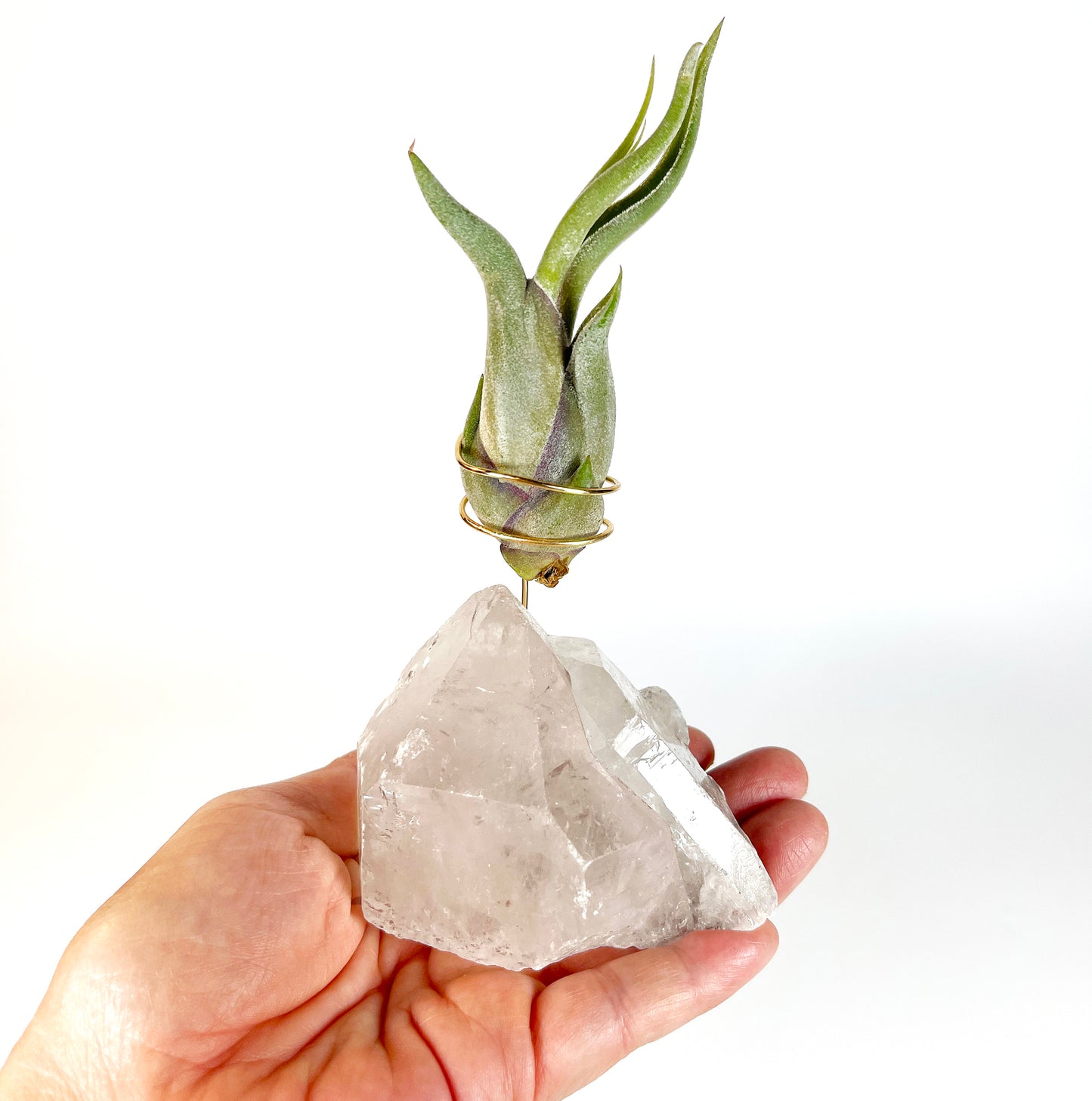 Standing Clear Quartz Crystal with Point - Unique Crystal Air Plant Holder
