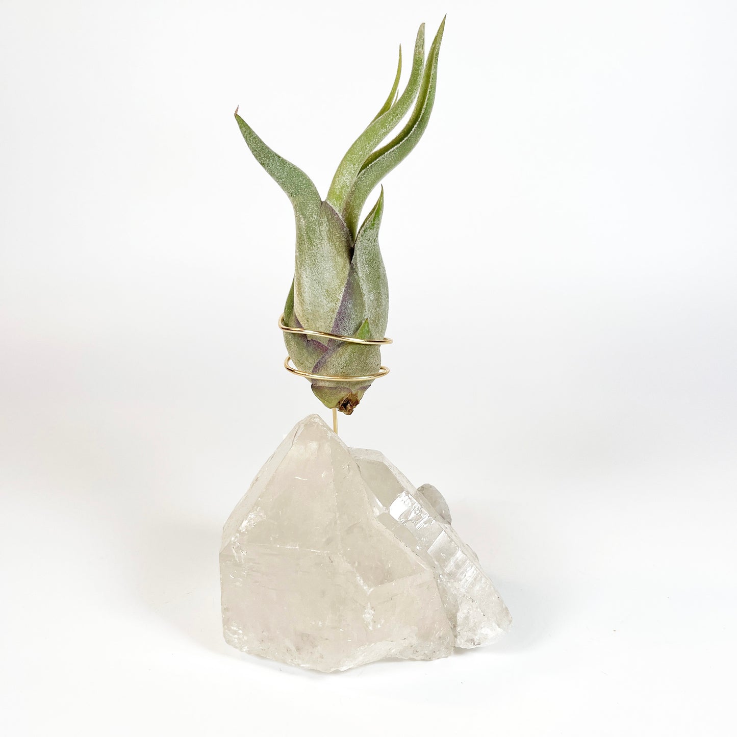 Standing Clear Quartz Crystal with Point - Unique Crystal Air Plant Holder