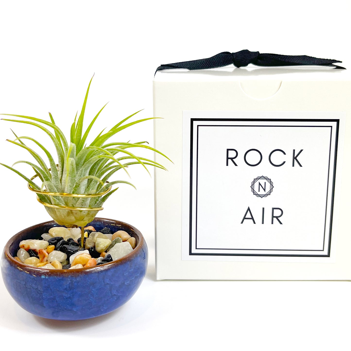 Dark Blue Ceramic Sake Cup Air Plant Holder (with glued rock filling)