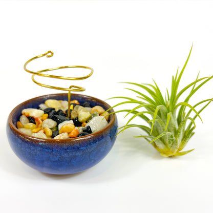 Dark Blue Ceramic Sake Cup Air Plant Holder (with glued rock filling)