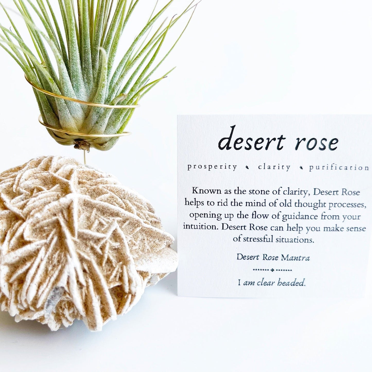 Get Well Gift - Desert Rose Air Plant Holder