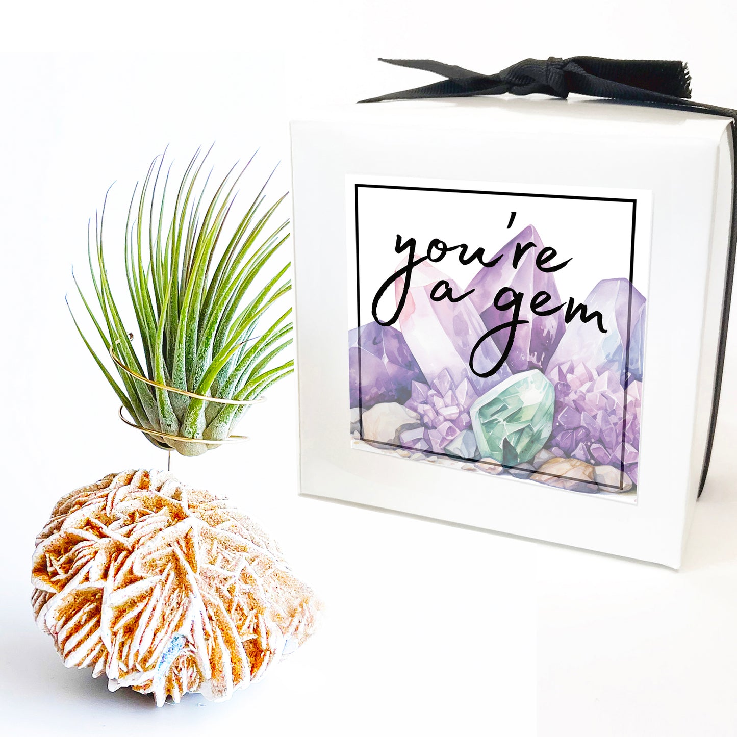 Mother's Day Gift — Desert Rose Air Plant Holder