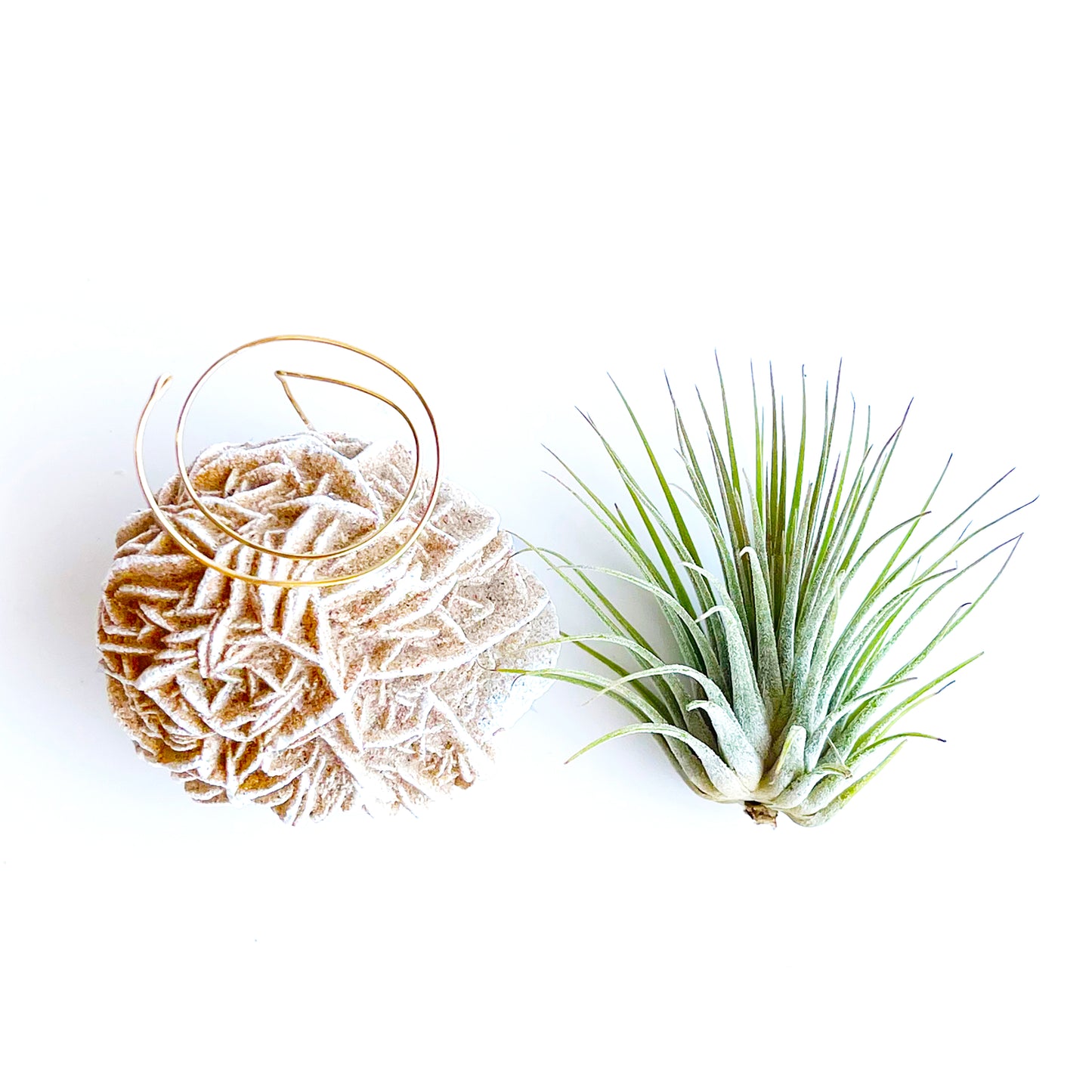 Mother's Day Gift — Desert Rose Air Plant Holder