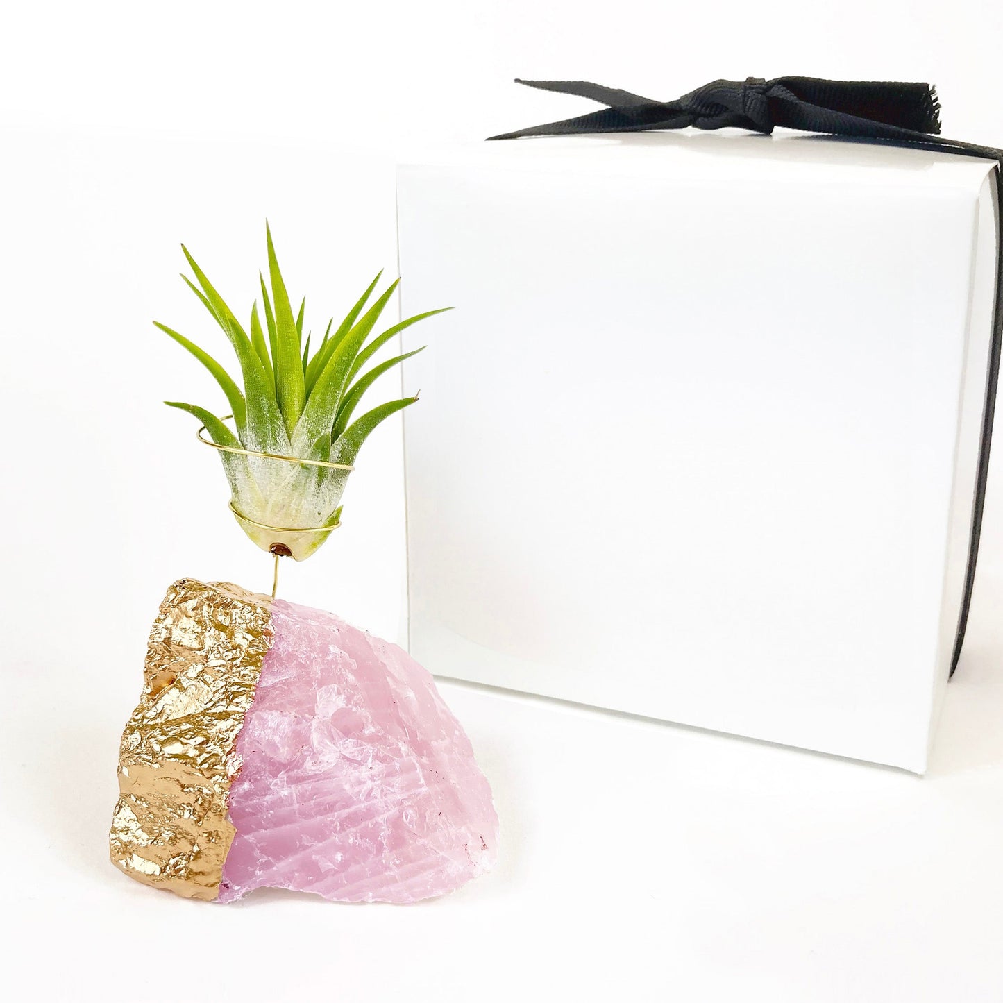 Thank You Gift - Gold Dipped Rose Quartz Air Plant Holder