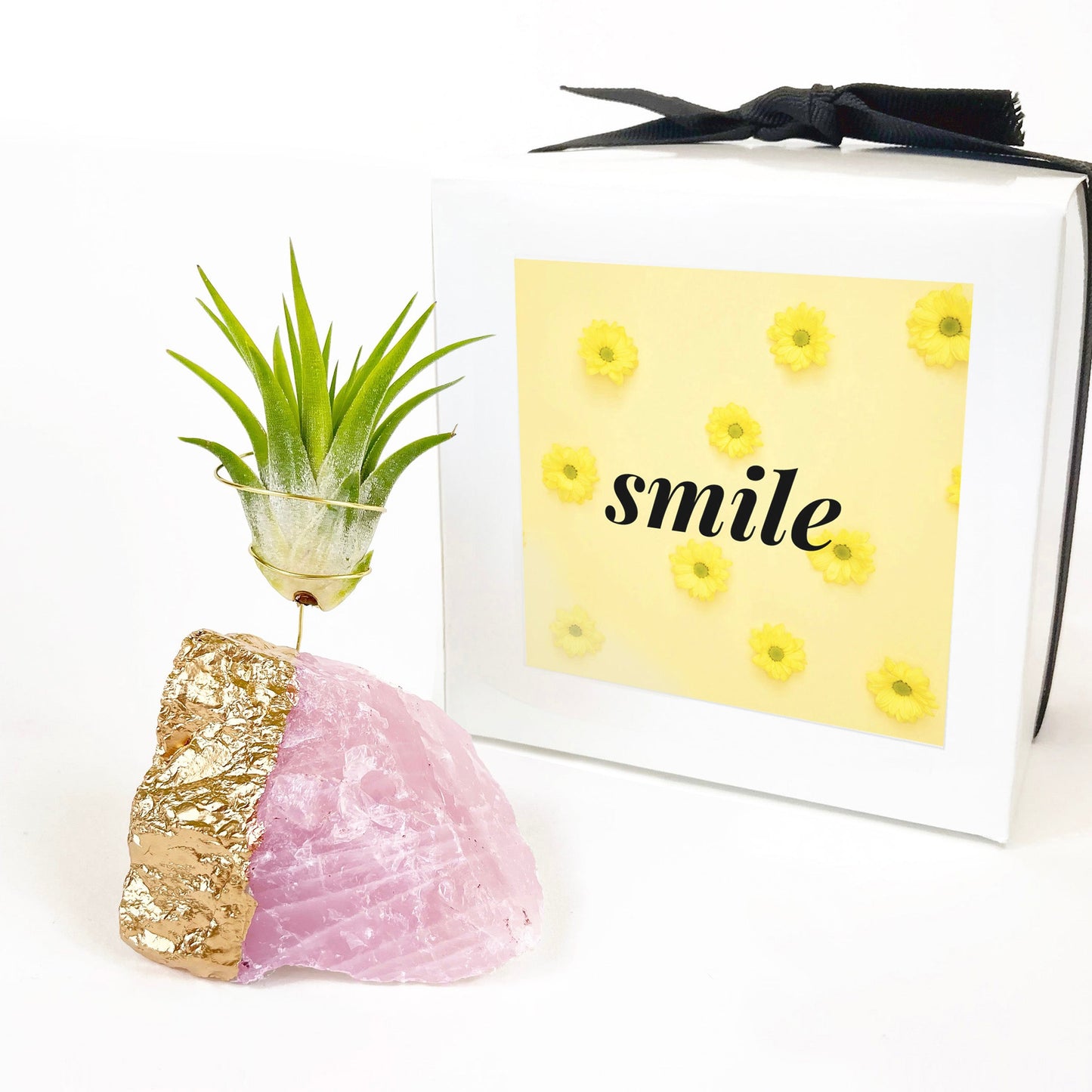 Thank You Gift - Gold Dipped Rose Quartz Air Plant Holder