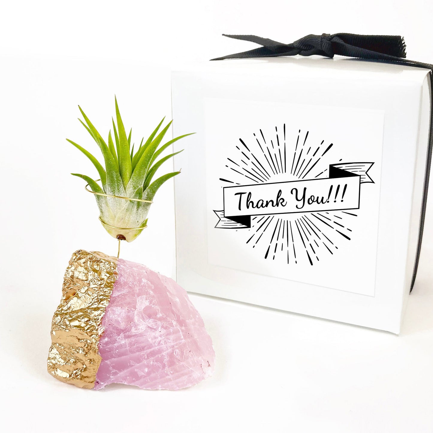 Thank You Gift - Gold Dipped Rose Quartz Air Plant Holder