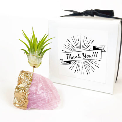 Thank You Gift - Gold Dipped Rose Quartz Air Plant Holder