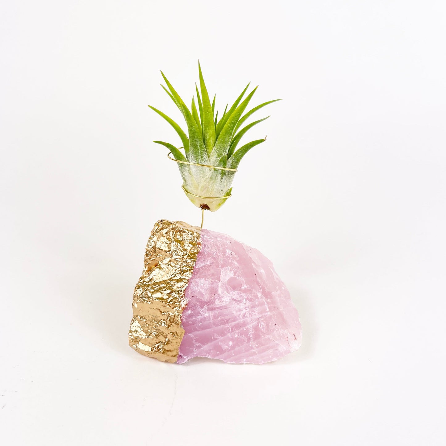 Thank You Gift - Gold Dipped Rose Quartz Air Plant Holder