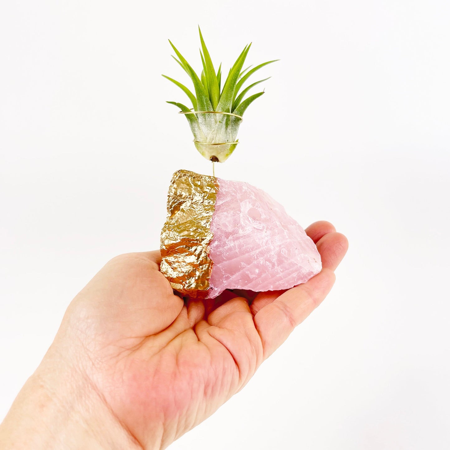 Thank You Gift - Gold Dipped Rose Quartz Air Plant Holder