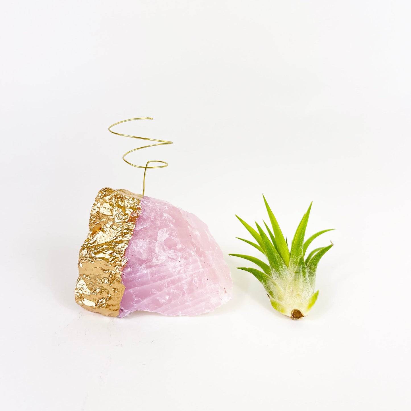 Thank You Gift - Gold Dipped Rose Quartz Air Plant Holder