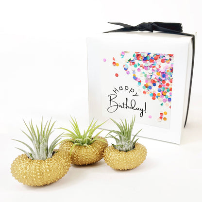 Unique Birthday Gift - Gold Metallic Sea Urchin Air Plants Holders (Set of 3)