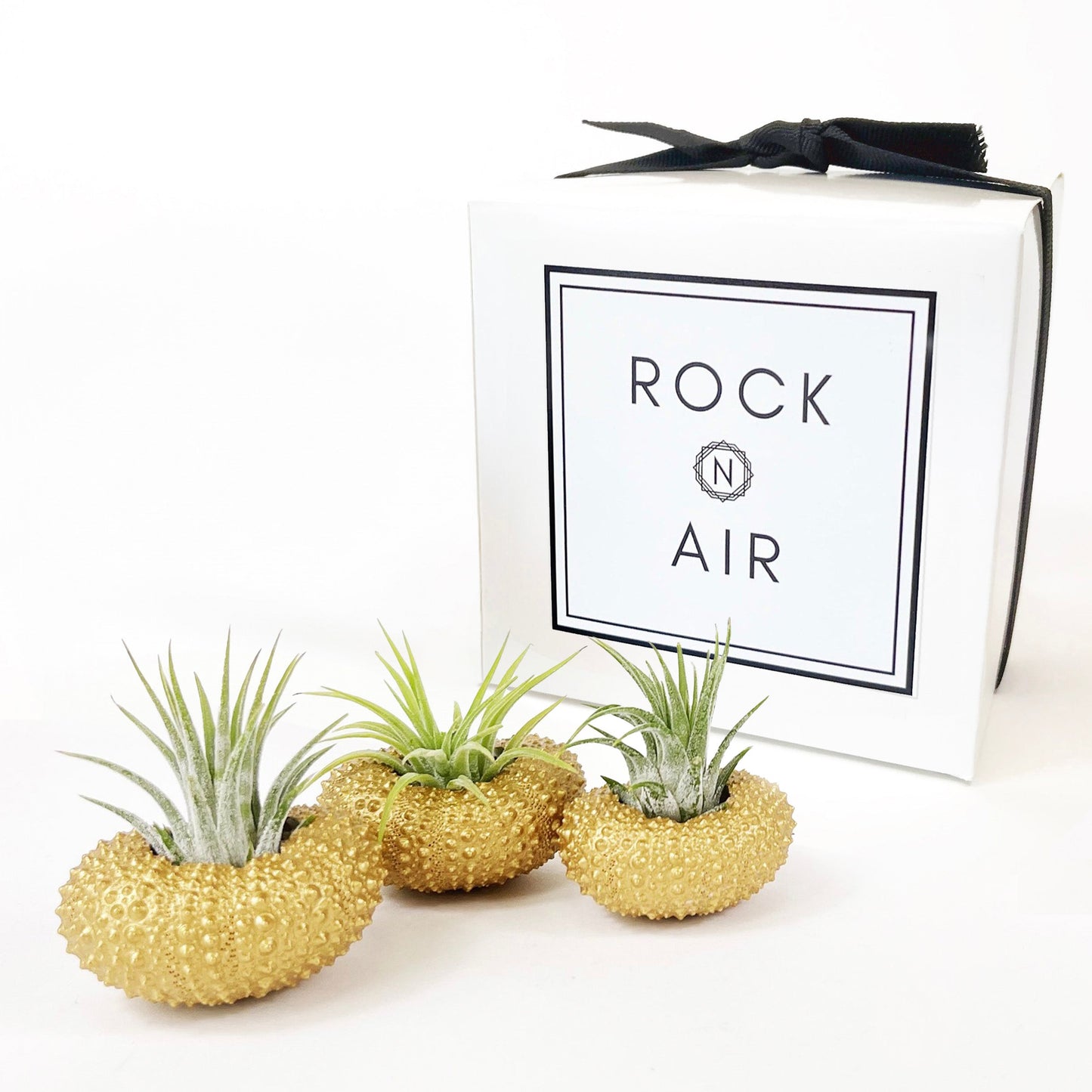 Unique Birthday Gift - Gold Metallic Sea Urchin Air Plants Holders (Set of 3)