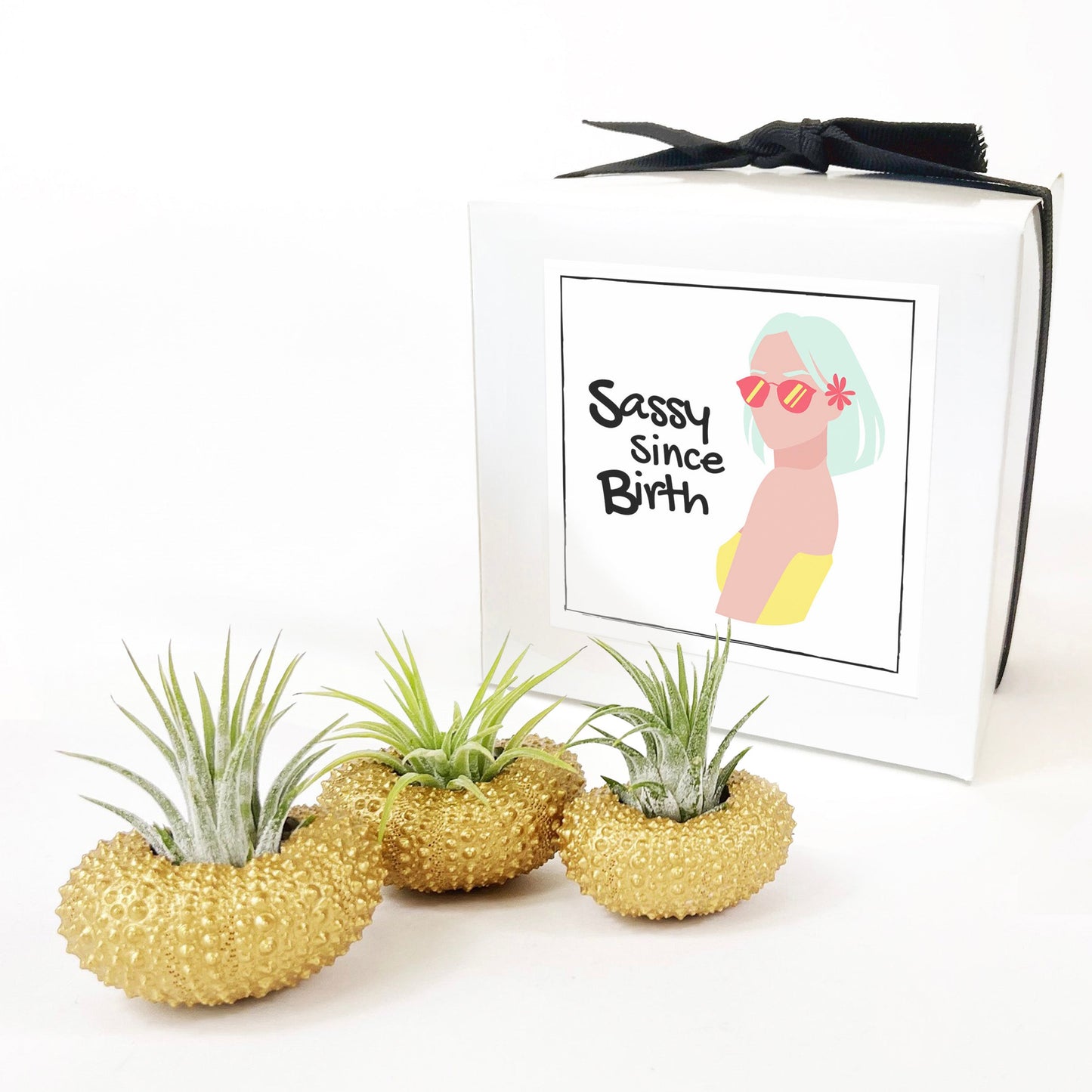 Unique Birthday Gift - Gold Metallic Sea Urchin Air Plants Holders (Set of 3)