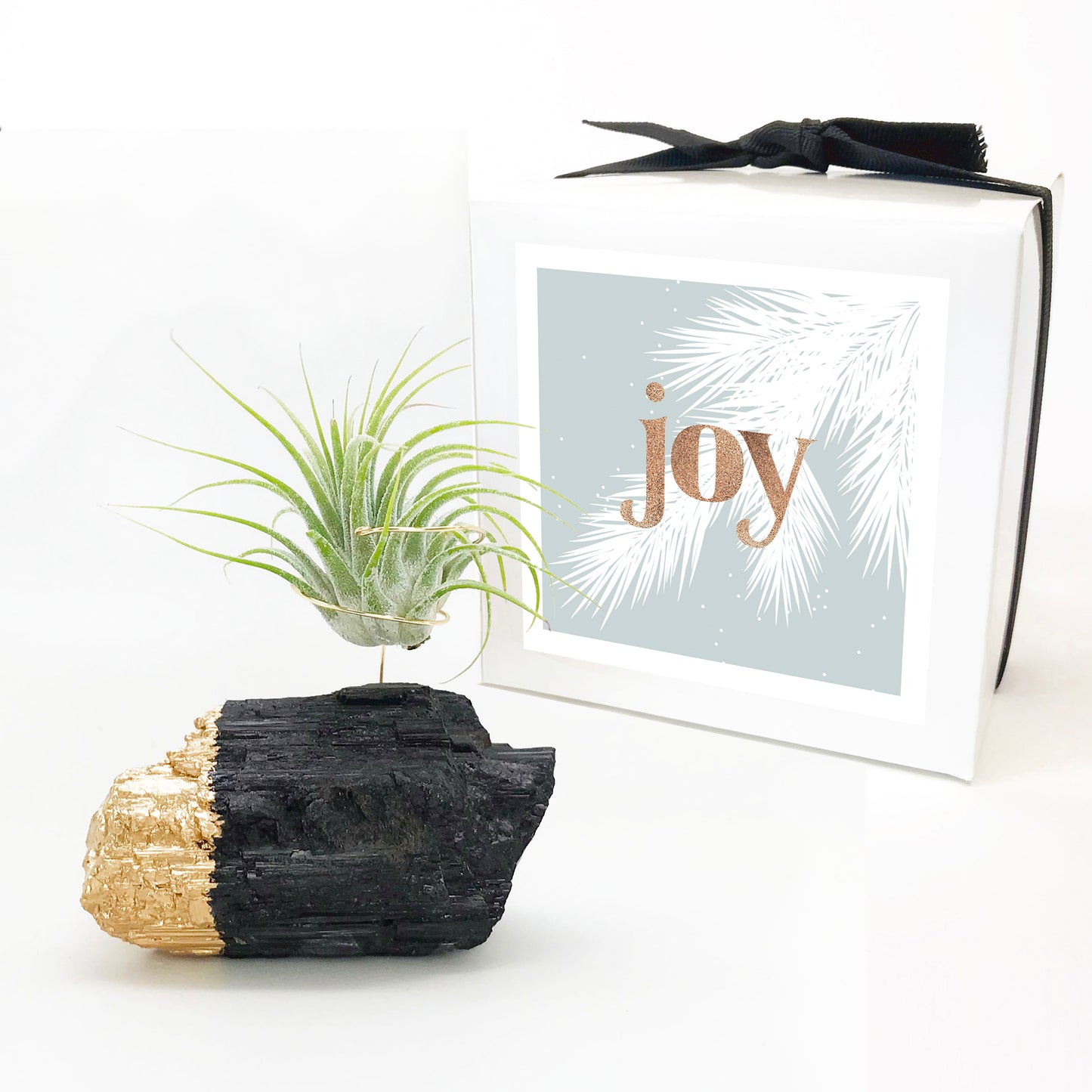 Gold Dipped Black Tourmaline Air Plant Holder