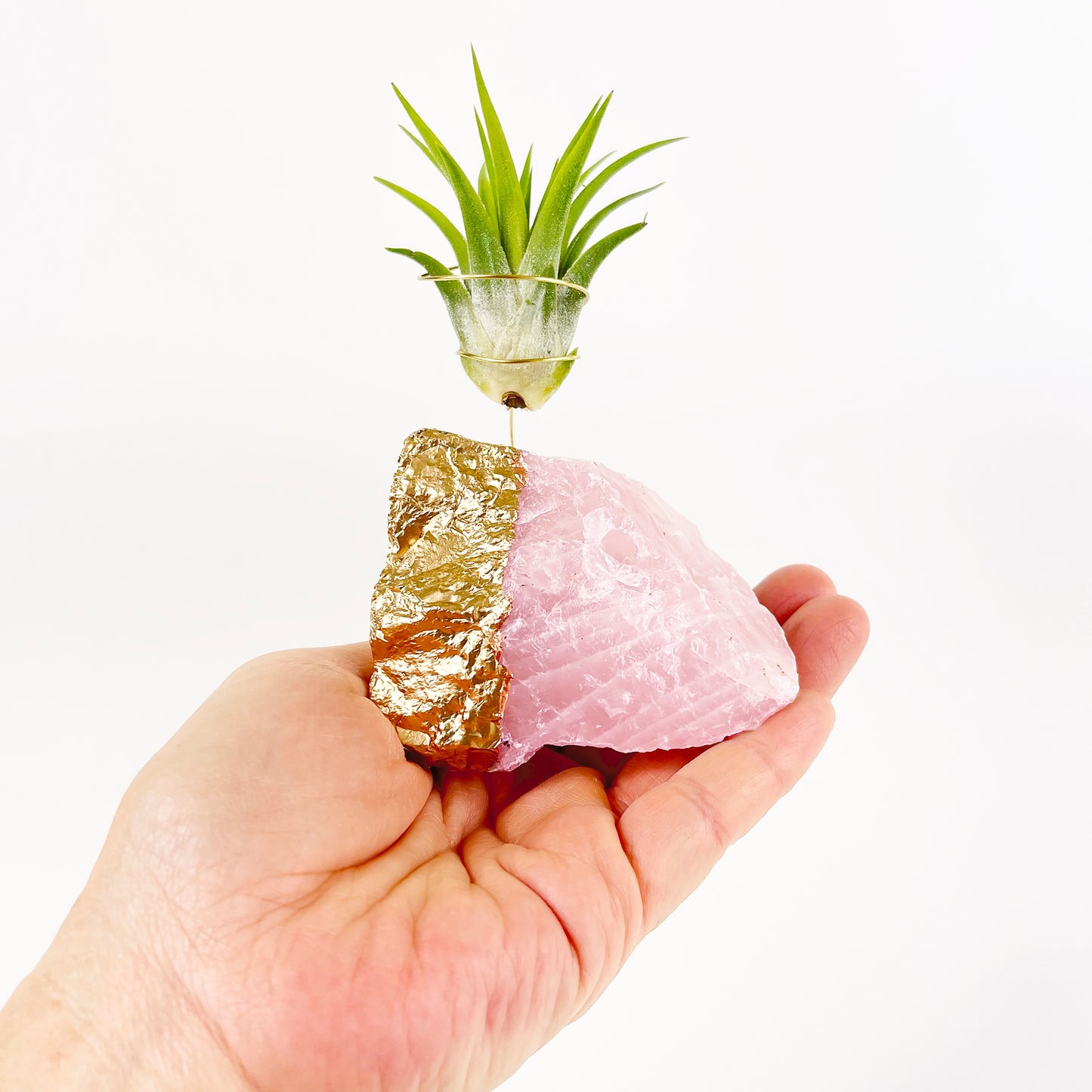 Gold Dipped Rose Quartz Air Plant Holder (Tillandsia Ionantha Guatemala) - Valentine's Day Air Plant Gifts (Copy)