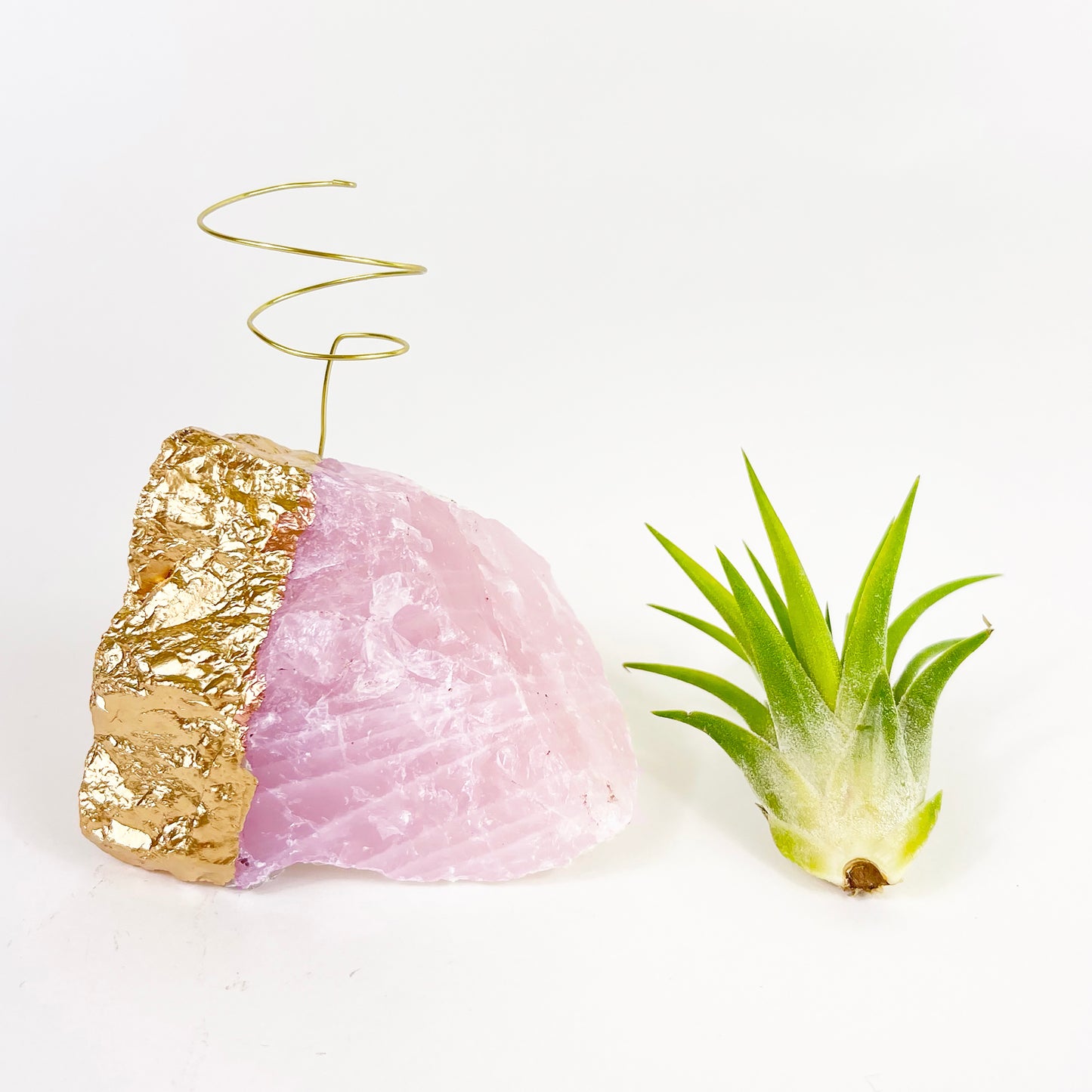 Gold Dipped Rose Quartz Air Plant Holder (Tillandsia Ionantha Guatemala) - Valentine's Day Air Plant Gifts (Copy)