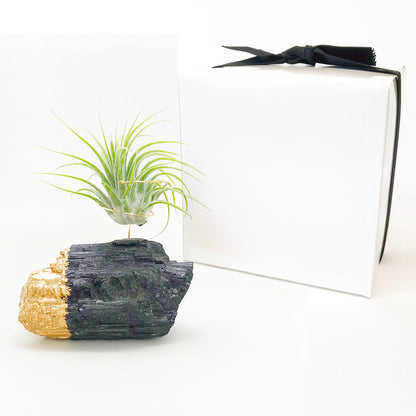 Gold Dipped Black Tourmaline Air Plant Holder