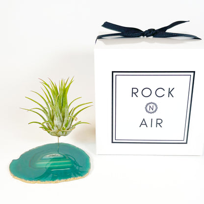 Green Agate Crystal Air Plant Holder - Tillandsia Ionantha Guatemala Plant and Gift Box Included