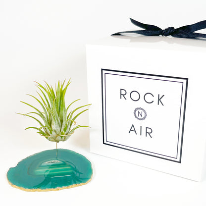 Green Agate Crystal Air Plant Holder - Tillandsia Ionantha Guatemala Plant and Gift Box Included