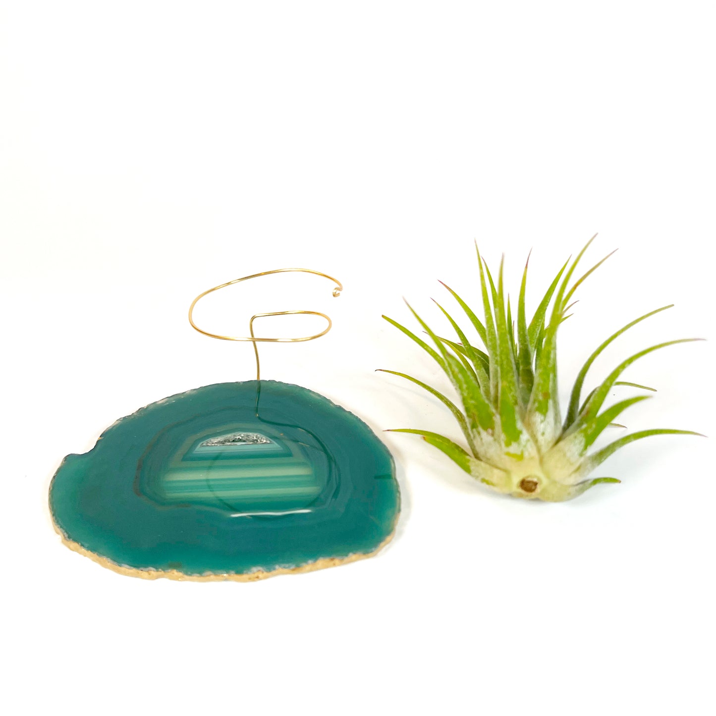 Green Agate Crystal Air Plant Holder - Tillandsia Ionantha Guatemala Plant and Gift Box Included