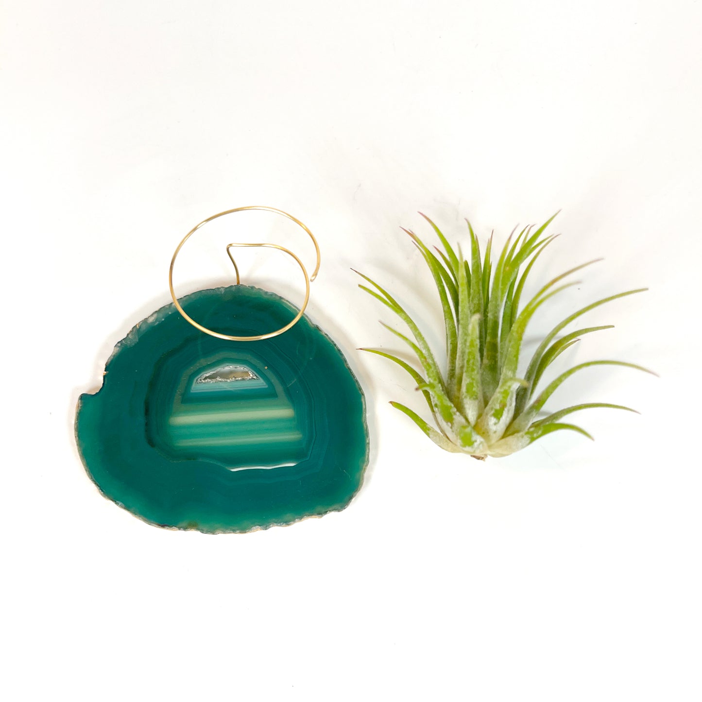 Green Agate Crystal Air Plant Holder - Tillandsia Ionantha Guatemala Plant and Gift Box Included