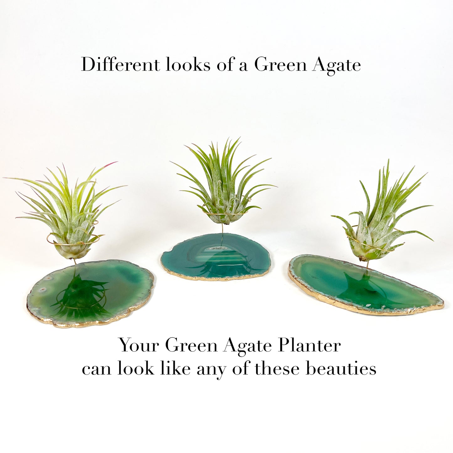 Green Agate Crystal Air Plant Holder - Tillandsia Ionantha Guatemala Plant and Gift Box Included