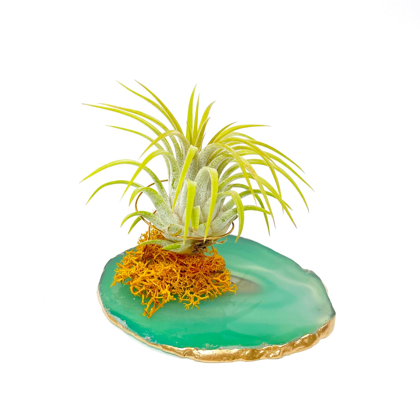 Father's Day Gift — Large Green Agate Crystal with Orange Moss Detail Air Plant Holder