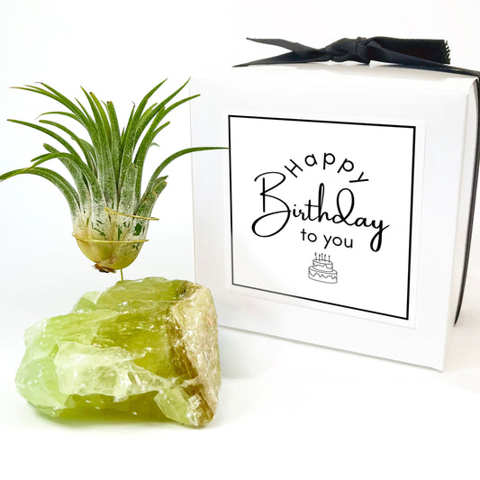 Unique Birthday Gift - Green Calcite Crystal Air Plant Holder