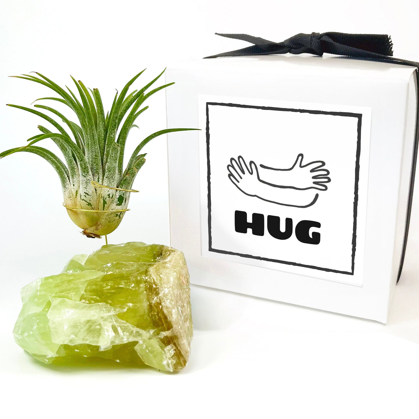 Green Calcite Air Plant Holder