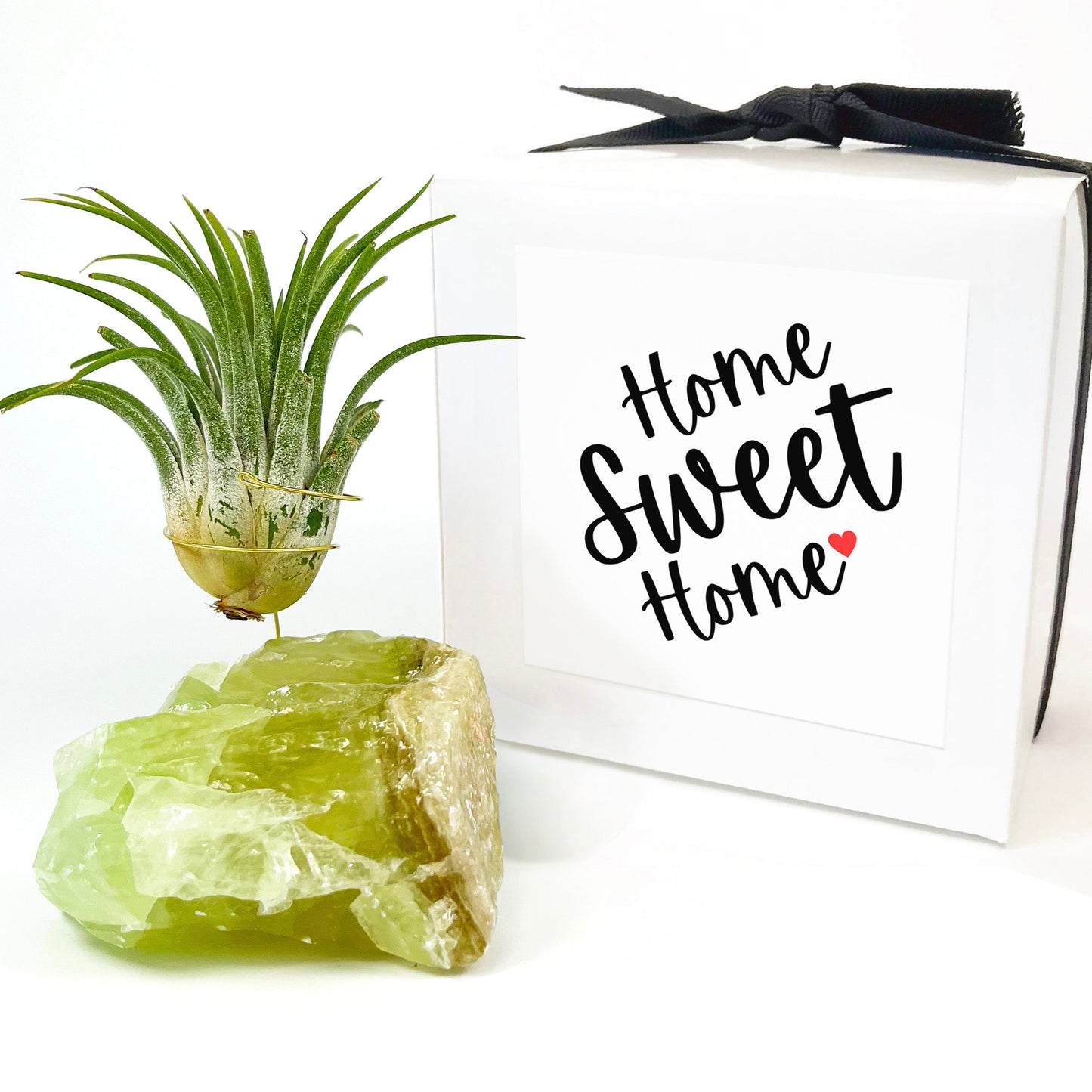 Green Calcite Air Plant Holder