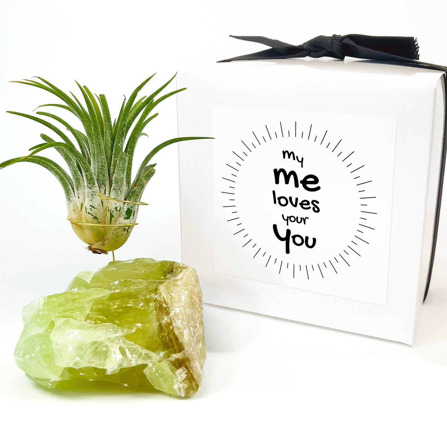 Green Calcite Air Plant Holder