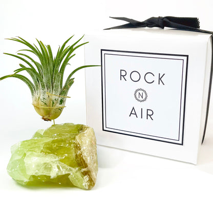 Green Calcite Air Plant Holder