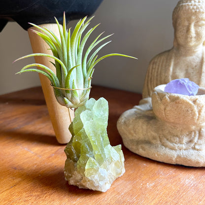 Rare Green Calcite Crystal Air Plant Holder | Unique Birthday Gift for Her