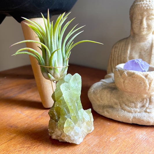 Rare Green Calcite Crystal Air Plant Holder | Unique Birthday Gift for Her