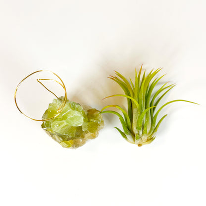 Rare Green Calcite Crystal Air Plant Holder | Unique Birthday Gift for Her