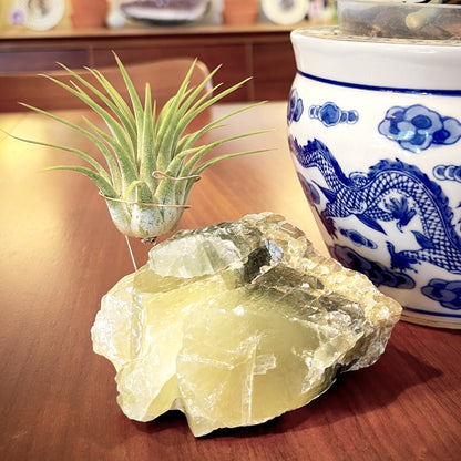 Green Calcite Air Plant Holder