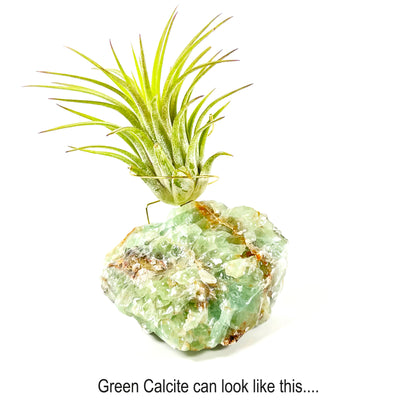 Green Calcite Air Plant Holder