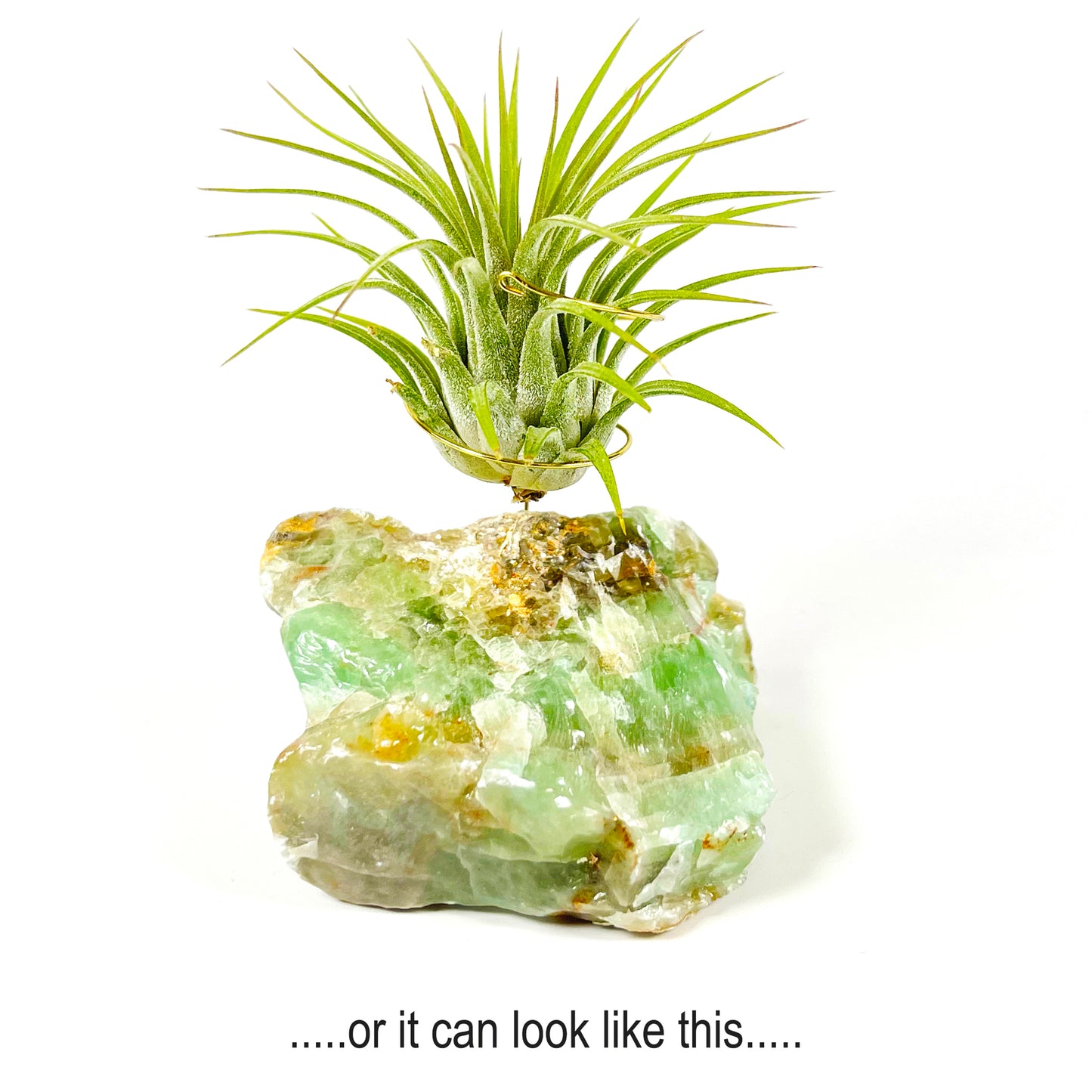 Green Calcite Air Plant Holder