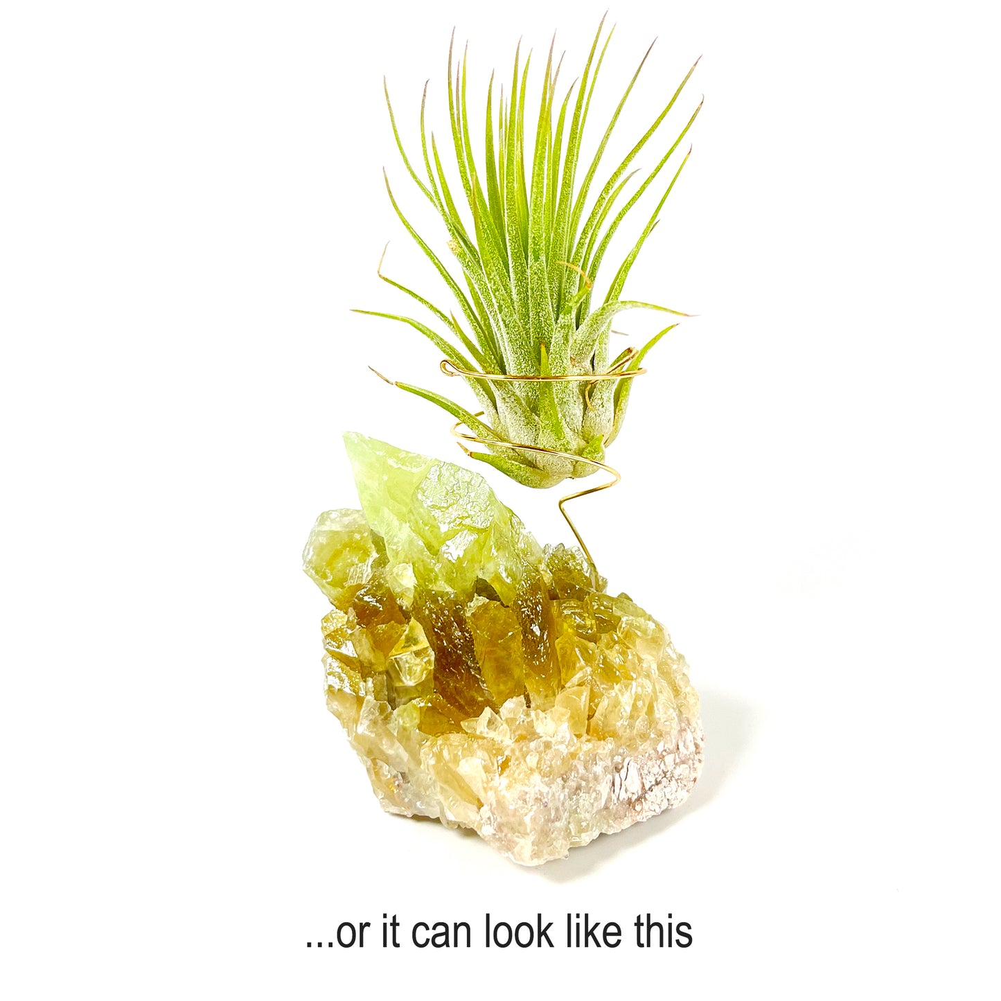 Green Calcite Air Plant Holder