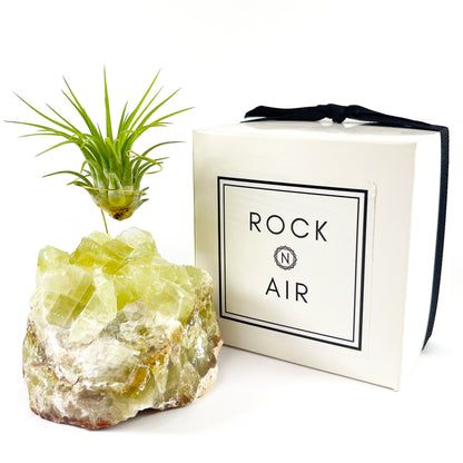 One-of-a-kind Green Calcite Air Plant Holder