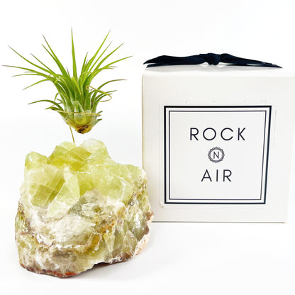 One-of-a-kind Green Calcite Air Plant Holder