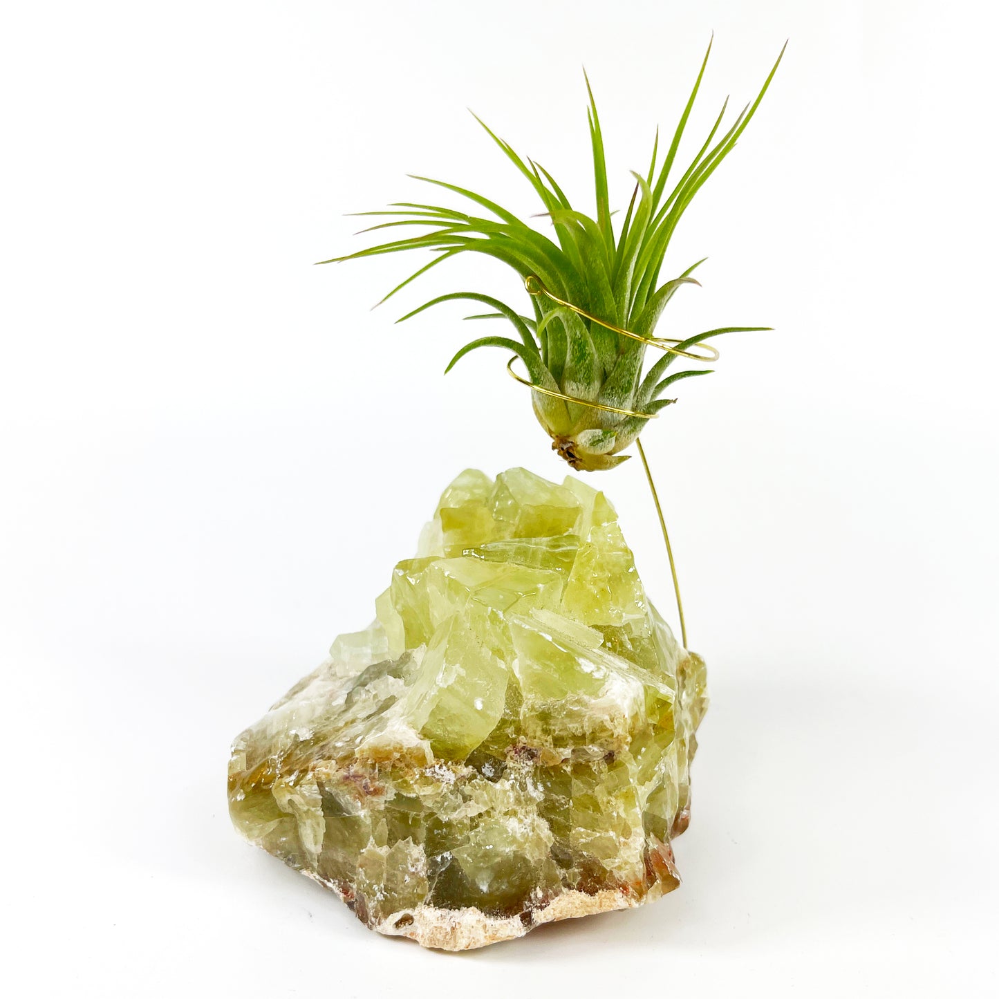 One-of-a-kind Green Calcite Air Plant Holder