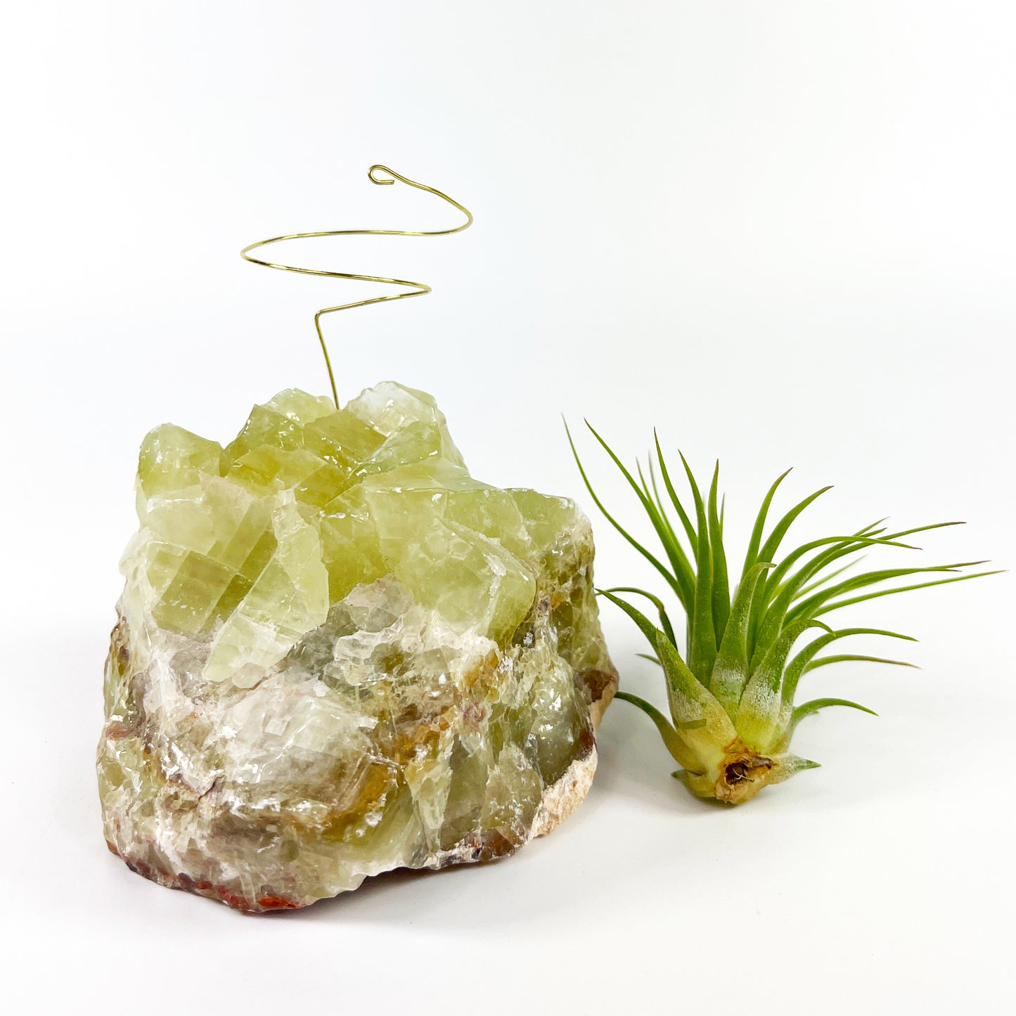 One-of-a-kind Green Calcite Air Plant Holder