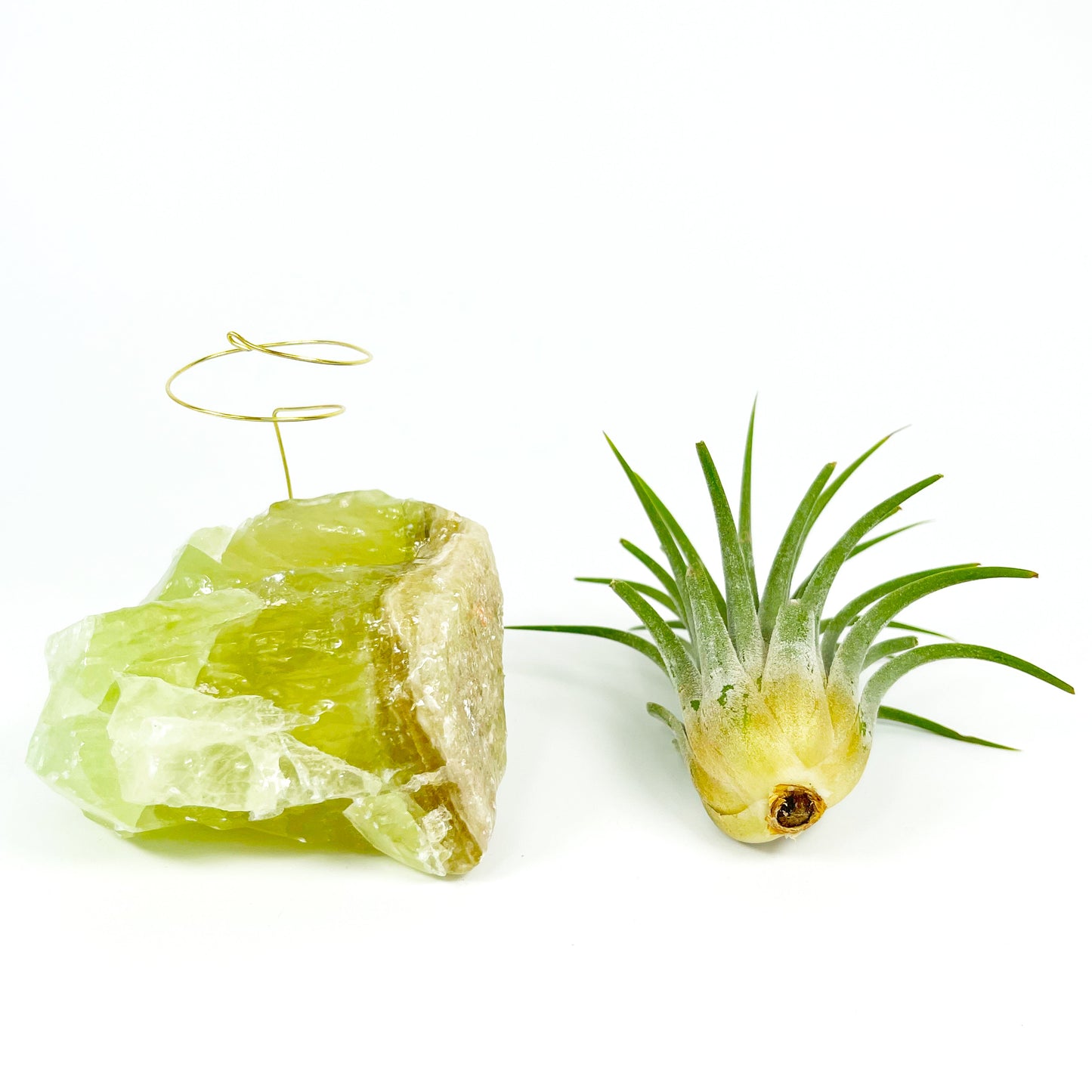 Green Calcite Air Plant Holder