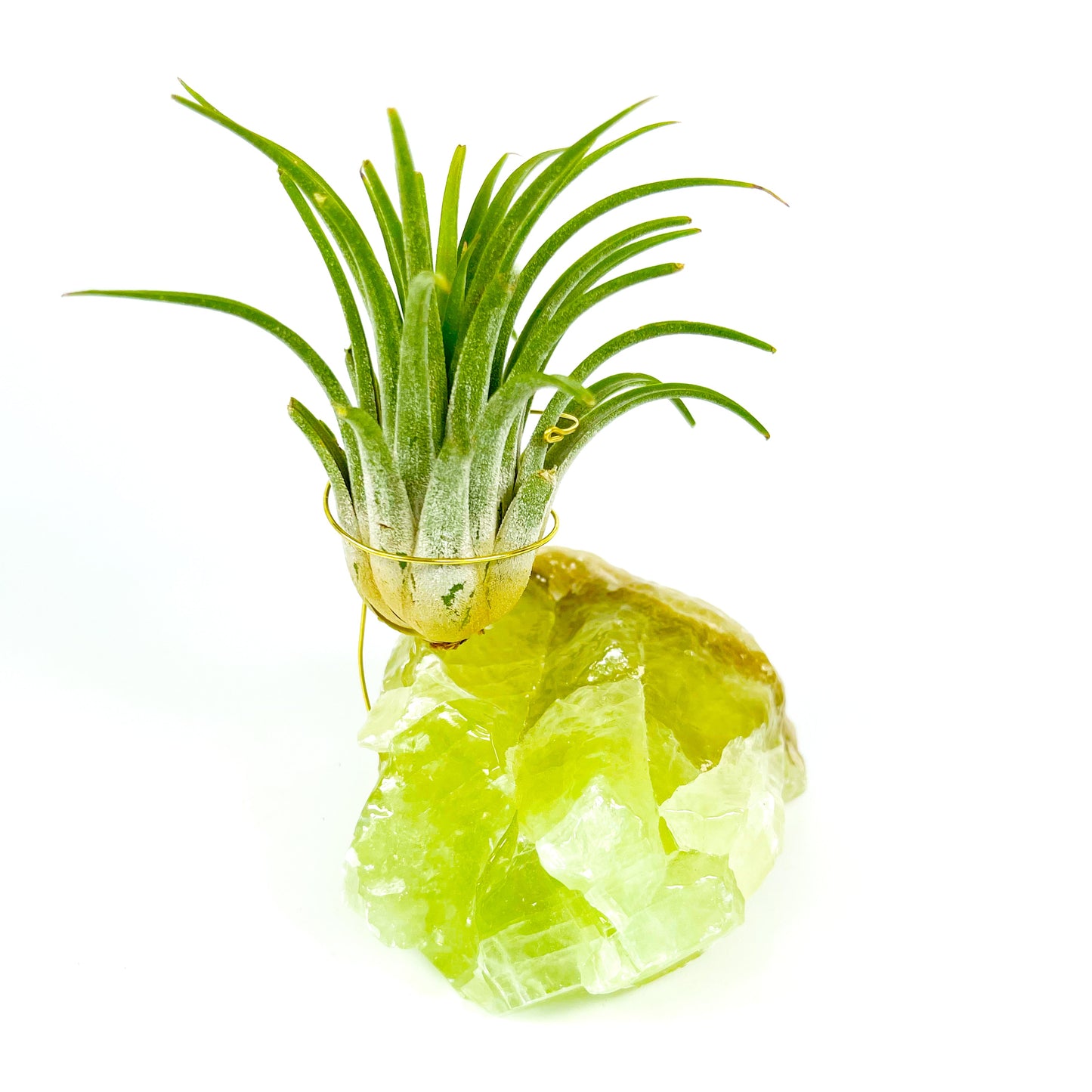 Green Calcite Air Plant Holder